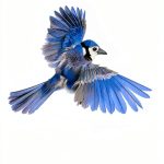 Out of My Mind Book 3 Kindle Edition Childrens Disabilities-0