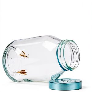 Out of My Heart Book 2 Childrens Disabilities eBook-0