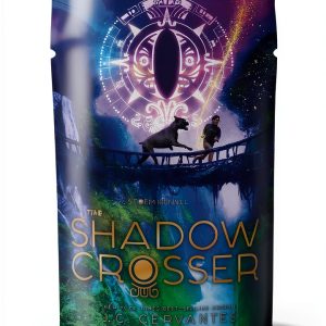 Storm Runner Book 3 Fantasy Adventure for Kids Ages 8-12-0