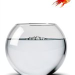 Atheneum Out of My Mind Childrens Book Kindle Edition-0